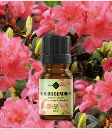Azalee BIO ulei esenţial (rhododendron anthopogon) 5 ml